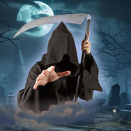 BEST OF - Das Beste aus 13 Jahren